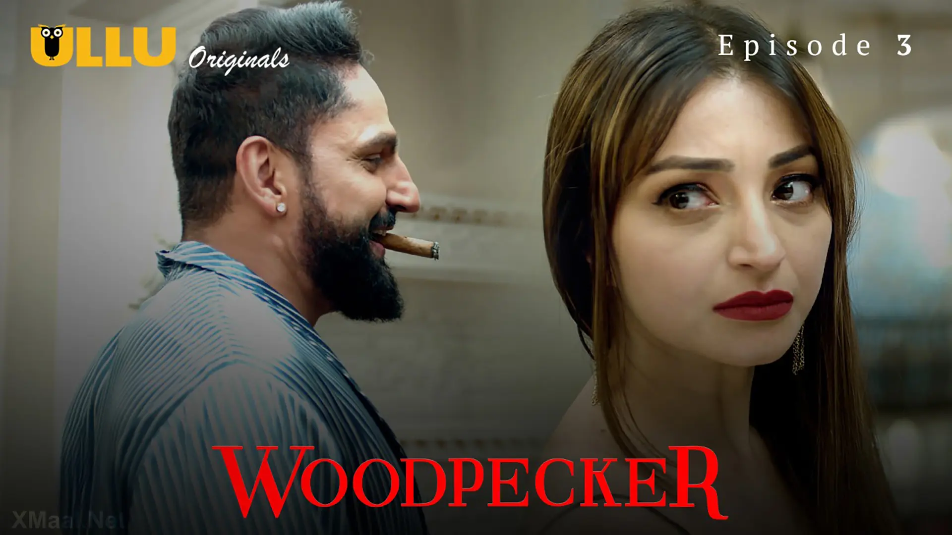 Woodpecker Episode 3