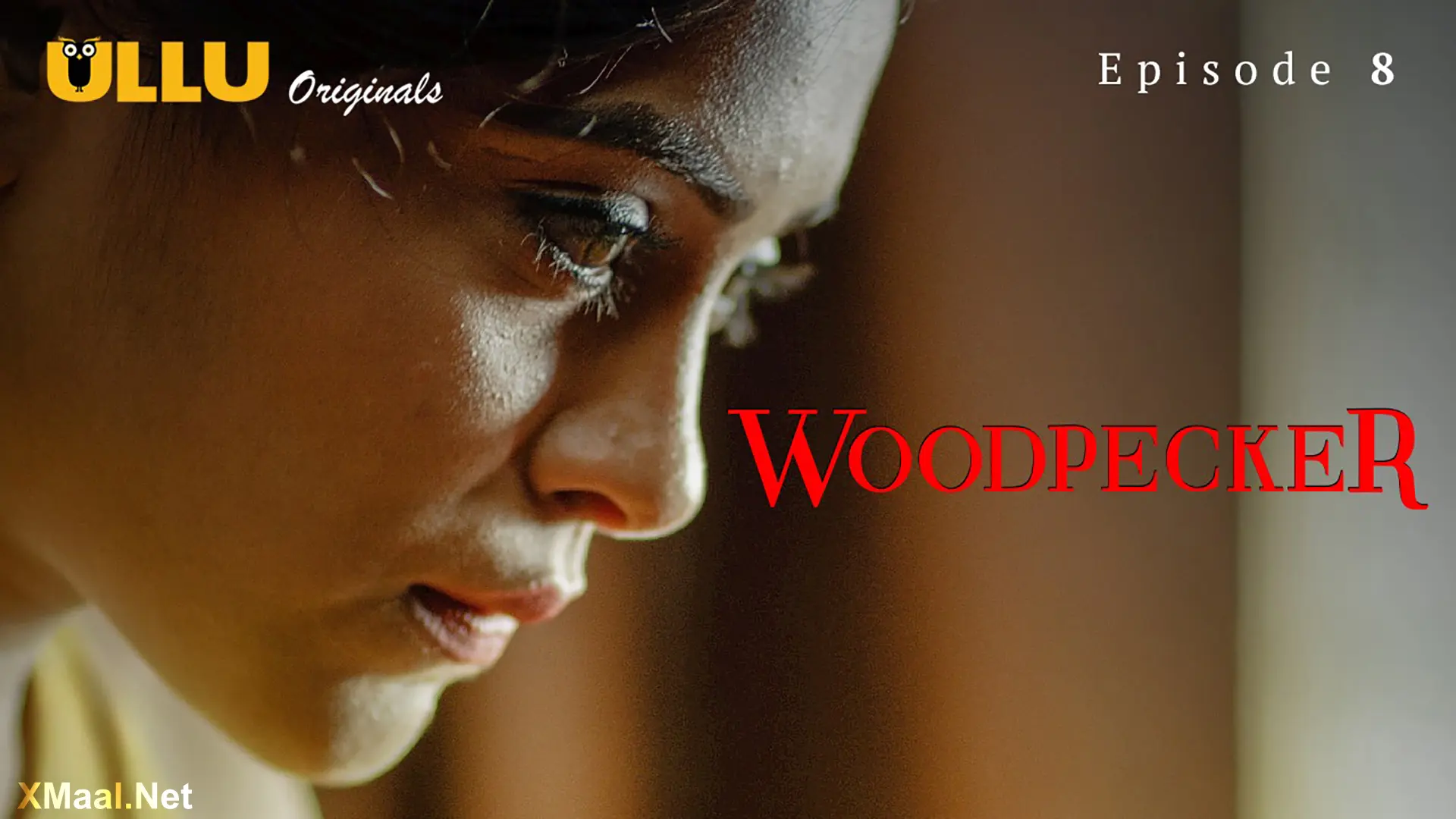 Woodpecker Episode 8